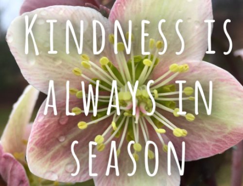 Self Kindness as an Expression of Spring Cleaning